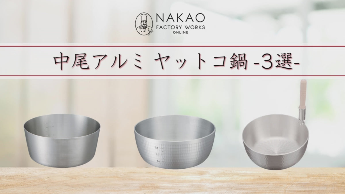 動画がロードされます。